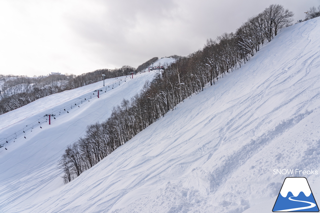 朝里川温泉スキー場｜祝・粉雪復活！競争率ゼロのゲレンデでパウダー三昧♪